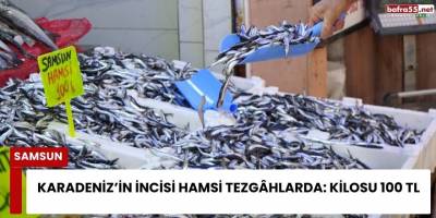 Karadeniz’in İncisi Hamsi Tezgâhlarda: Kilosu 100 TL