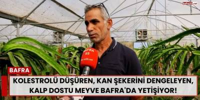 Kolestrolü Düşüren, Kan Şekerini Dengeleyen, Kalp Dostu Meyve Bafra'da Yetişiyor!