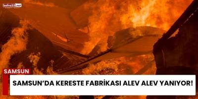 Samsun’da Kereste Fabrikası Alev Alev Yanıyor!
