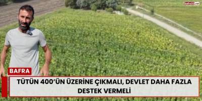 Tütün 400’ün Üzerine Çıkmalı, Devlet Daha Fazla Destek Vermeli