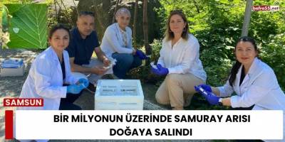 Bir Milyonun Üzerinde Samuray Arısı Doğaya Salındı
