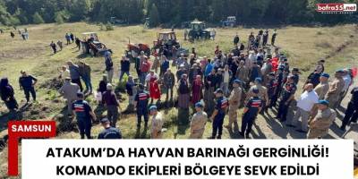 Atakum’da Hayvan Barınağı Gerginliği! Komando Ekipleri Bölgeye Sevk Edildi
