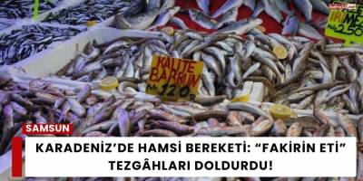 Karadeniz’de Hamsi Bereketi: “Fakirin Eti” Tezgâhları Doldurdu