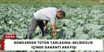 Gemilerden Tütün Tarlasına: Belirsizlik İçinde Garanti Arayışı