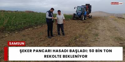 Şeker Pancarı Hasadı Başladı: 50 Bin Ton Rekolte Bekleniyor