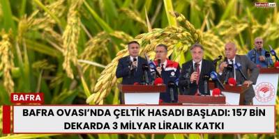 Bafra Ovası’nda Çeltik Hasadı Başladı: 157 Bin Dekarda 3 Milyar Liralık Katkı