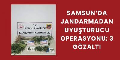 Jandarmadan Uyuşturucu Operasyonu: 3 Gözaltı