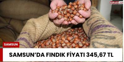 Samsun’da Fındık Fiyatı 345,67 TL