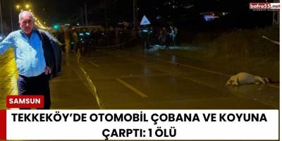 Tekkeköy’de Otomobil Çobana ve Koyuna Çarptı: 1 Ölü