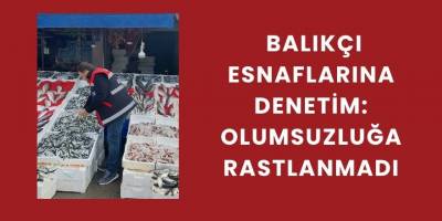 Balıkçı Esnaflarına Denetim: Olumsuzluğa Rastlanmadı