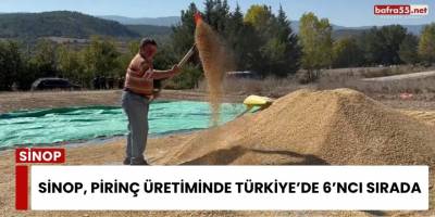 Sinop, Pirinç Üretiminde Türkiye’de 6’ncı Sırada