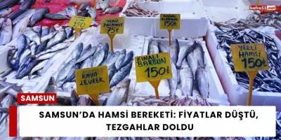 Samsun’da Hamsi Bereketi: Fiyatlar Düştü, Tezgahlar Doldu