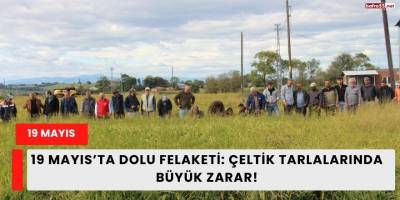 19 Mayıs’ta Dolu Felaketi: Çeltik Tarlalarında Büyük Zarar