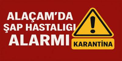 Alaçam’da Şap Hastalığı Alarmı