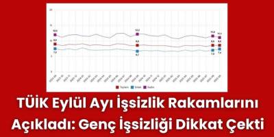 TÜİK Eylül Ayı İşsizlik Rakamlarını Açıkladı: Genç İşsizliği Dikkat Çekti