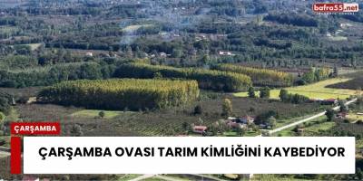 Çarşamba Ovası Tarım Kimliğini Kaybediyor