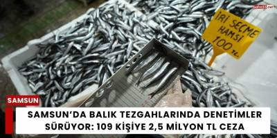 Balık Tezgahlarında Denetimler Sürüyor: 109 Kişiye 2,5 Milyon TL Ceza