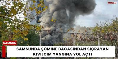 Samsunda Şömine Bacasından Sıçrayan Kıvılcım Yangına Yol Açtı