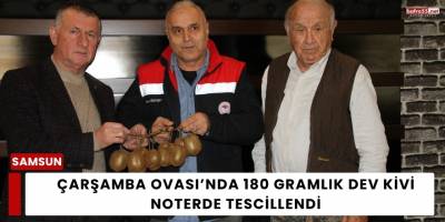 Çarşamba Ovası’nda 180 Gramlık Dev Kivi Noterde Tescillendi