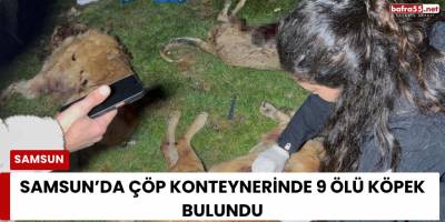 Samsun’da Çöp Konteynerinde 9 Ölü Köpek Bulundu