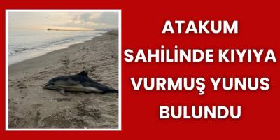 Atakum Sahilinde Kıyıya Vurmuş Yunus Bulundu