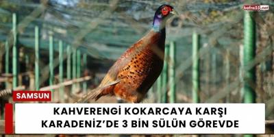 Kahverengi Kokarcaya Karşı Karadeniz’de 3 Bin Sülün Görevde