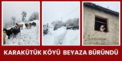 Karakütük Köyü  Beyaza Büründü