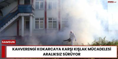 Kahverengi Kokarcaya Karşı Kışlak Mücadelesi Aralıksız Sürüyor