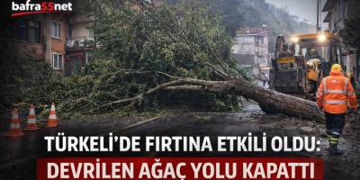 Türkeli’de Fırtına Etkili Oldu: Devrilen Ağaç Yolu Kapattı