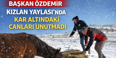 Başkan Özdemir Kızlan Yaylası’nda Kar Altındaki Canları Unutmadı