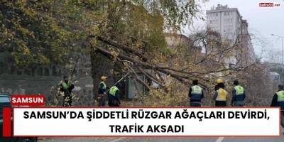 Samsun’da Şiddetli Rüzgar Ağaçları Devirdi, Trafik Aksadı