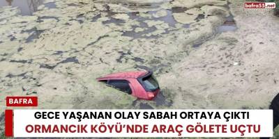 Gece Yaşanan Olay Sabah Ortaya Çıktı! Ormancık Köyü’nde Araç Gölete Uçtu!