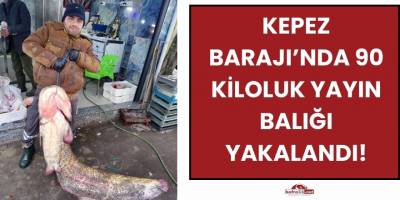 Kepez Barajı’nda 90 Kiloluk Yayın Balığı Yakalandı