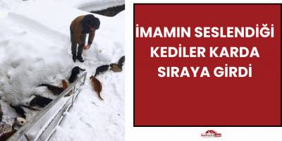 İmamın Seslendiği Kediler Karda Sıraya Girdi