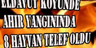 ELDAVUT KÖYÜNDE AHIR YANGININDA 8 HAYVAN TELEF OLDU