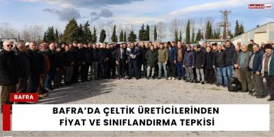 Bafra’da Çeltik Üreticilerinden Fiyat ve Sınıflandırma Tepkisi