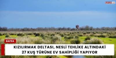 Kızılırmak Deltası, Nesli Tehlike Altındaki 27 Kuş Türüne Ev Sahipliği Yapıyor