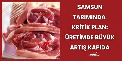 Samsun Tarımında Kritik Plan: Üretimde Büyük Artış Kapıda