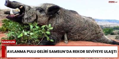 Avlanma Pulu Geliri Samsun’da Rekor Seviyeye Ulaştı