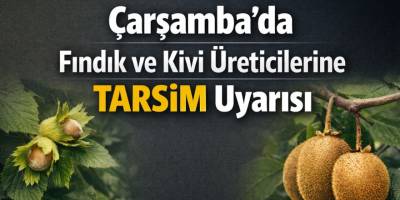 Çarşamba’da Fındık ve Kivi Üreticilerine TARSİM Uyarısı