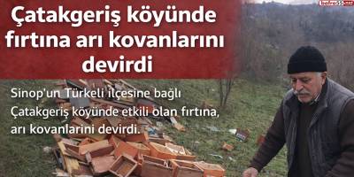 Çatakgeriş köyünde fırtına arı kovanlarını devirdi