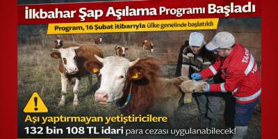 İlkbahar Şap Aşılama Programı Başladı: Aşı Yaptırmayanlara Ceza