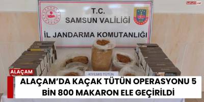 Alaçam’da Kaçak Tütün Operasyonu 5 Bin 800 Makaron Ele Geçirildi