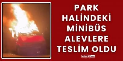 Park Halindeki Minibüs Alevlere Teslim Oldu