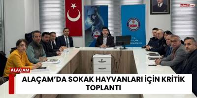 Alaçam’da Sokak Hayvanları İçin Kritik Toplantı