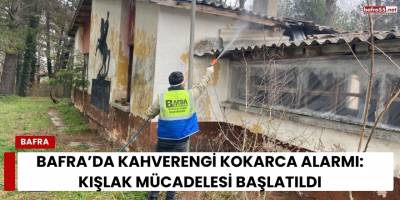 Bafra’da Kahverengi Kokarca Alarmı: Kışlak Mücadelesi Başlatıldı