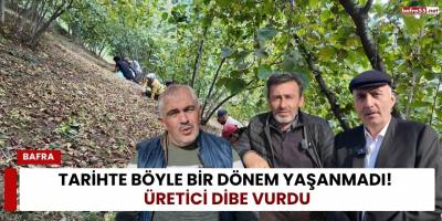 Tarihte Böyle Bir Dönem Yaşanmadı! Üretici Dibe Vurdu