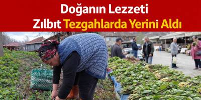 Doğanın Lezzeti Zılbıt Tezgahlarda Yerini Aldı
