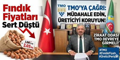 Fındık fiyatlarındaki sert düşüşe tepki TMO’ya çağrı geldi