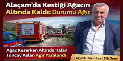 Alaçam’da Kestiği Ağacın Altında Kaldı: Durumu Ağır